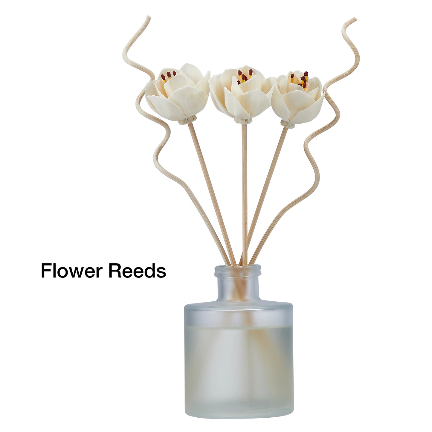 Coastal Cottage Reed Diffuser